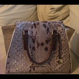 Pretty Brahmin pocketbook
